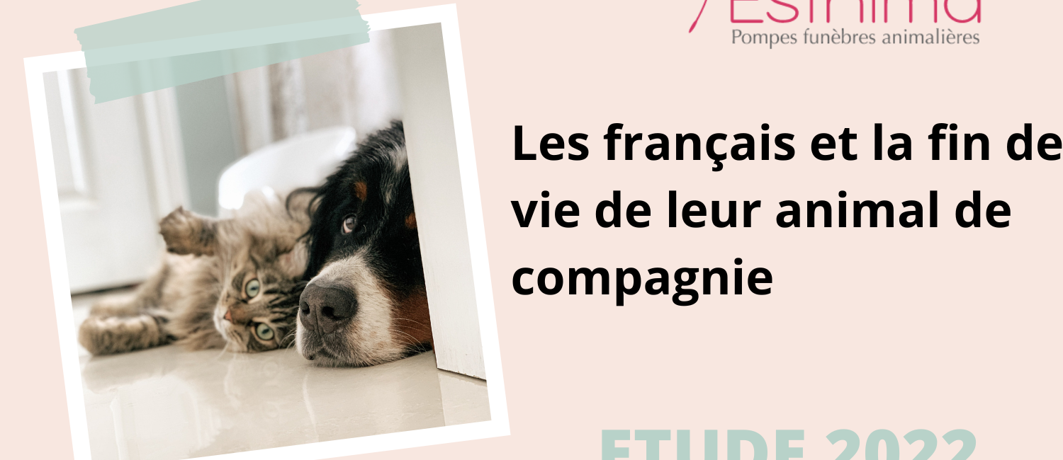 Infographie : Les français et la fin de vie de leur animal de compagnie