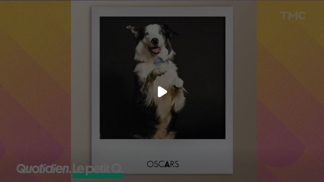 Le Petit Q : Messi, le chien en route pour les Oscars